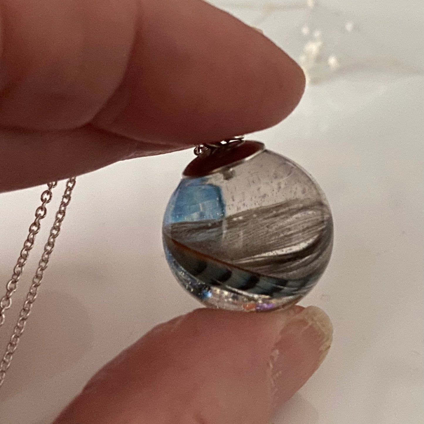 Blue Jay & Butterfly Necklace – Real Feather Pendant in Sterling Silver