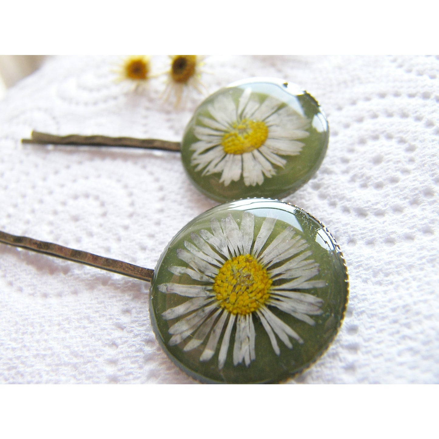 Pressed Daisy, Hair Pins, Bobby Pin, Set of 2, Botanical, Woodland, Nature, Eco Friendly