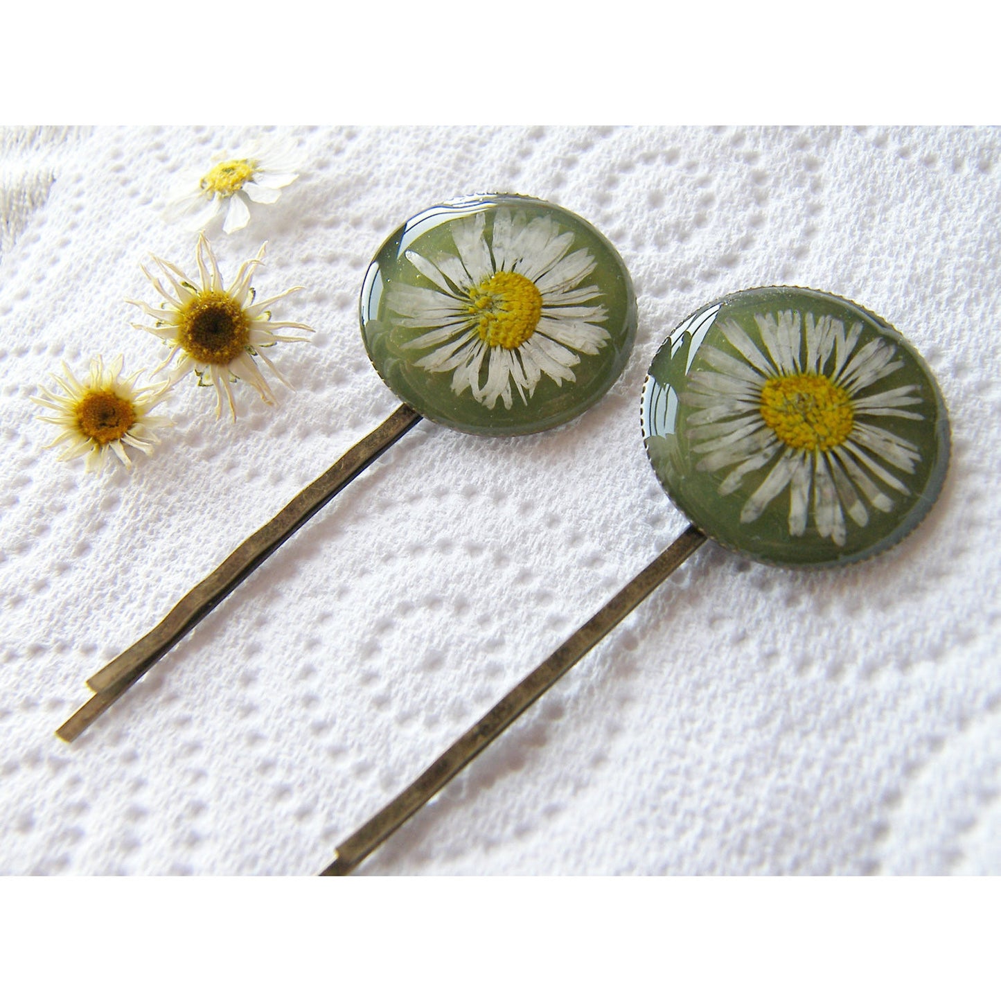 Pressed Daisy, Hair Pins, Bobby Pin, Set of 2, Botanical, Woodland, Nature, Eco Friendly