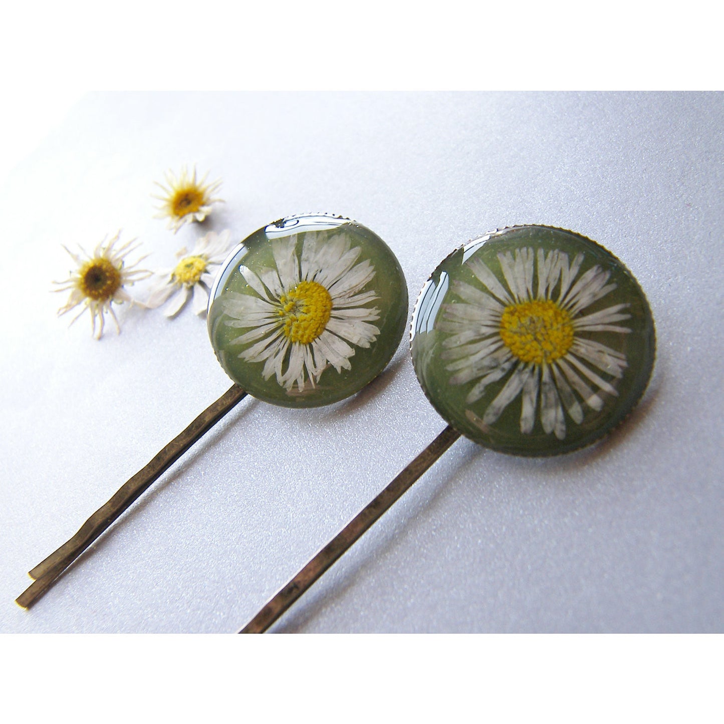 Pressed Daisy, Hair Pins, Bobby Pin, Set of 2, Botanical, Woodland, Nature, Eco Friendly