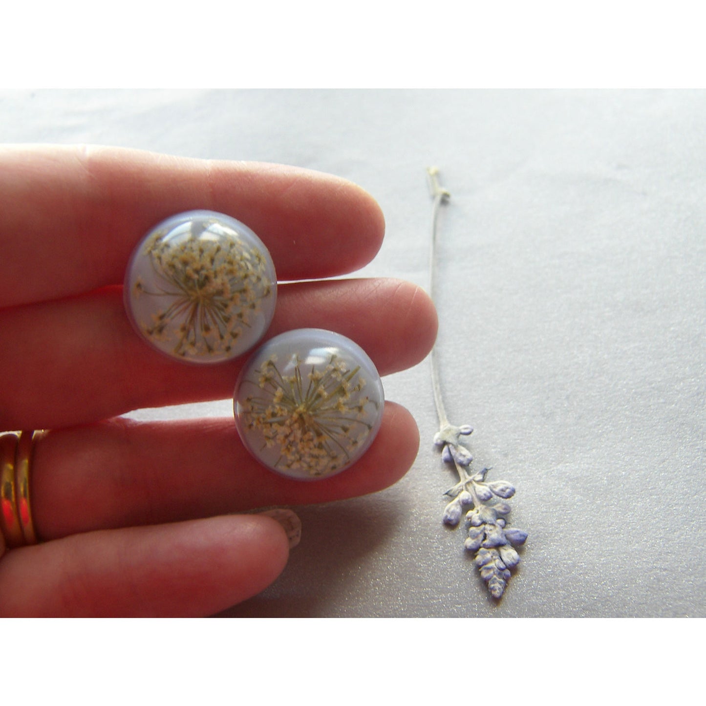 Unisex Silver Real Flower Cuff links with Queen Anne's Lace - SNOWFLAKE