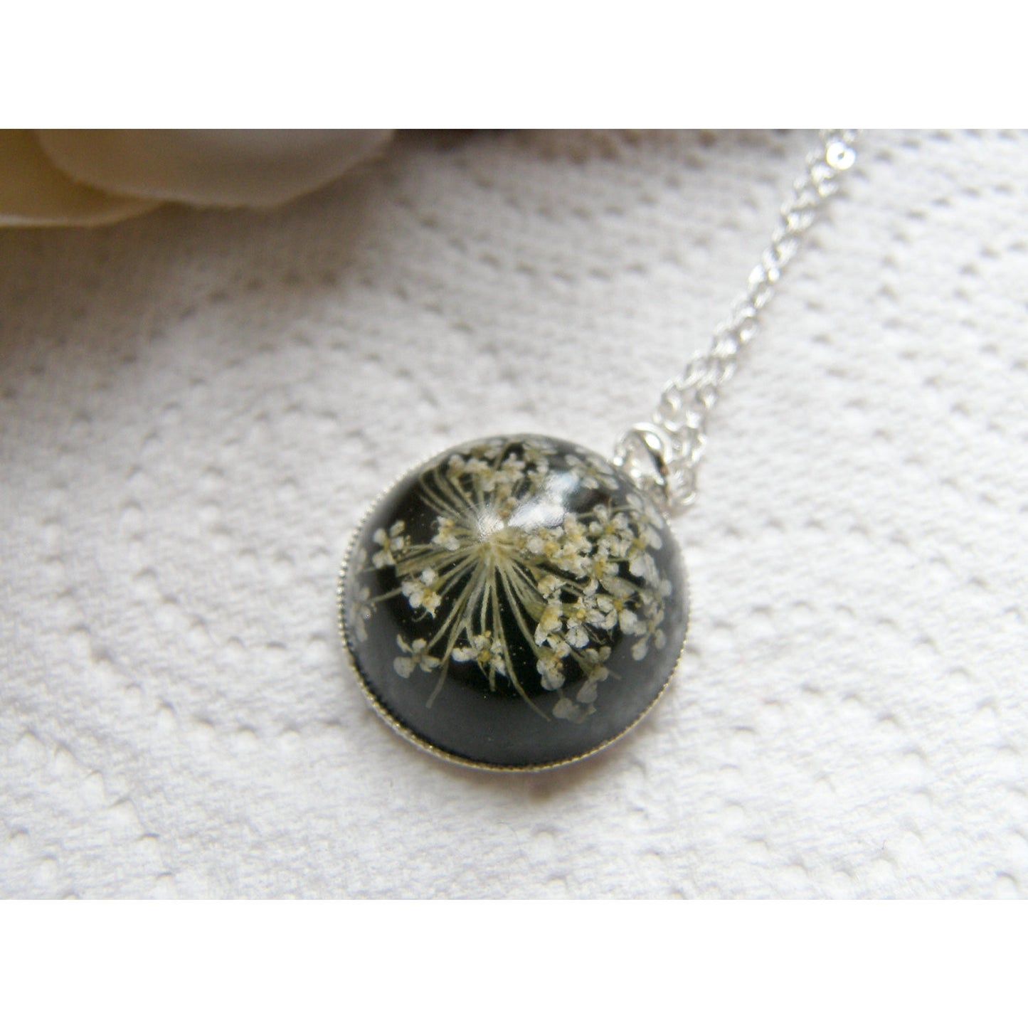 Queen Annes Lace Necklace, Black Real Flower