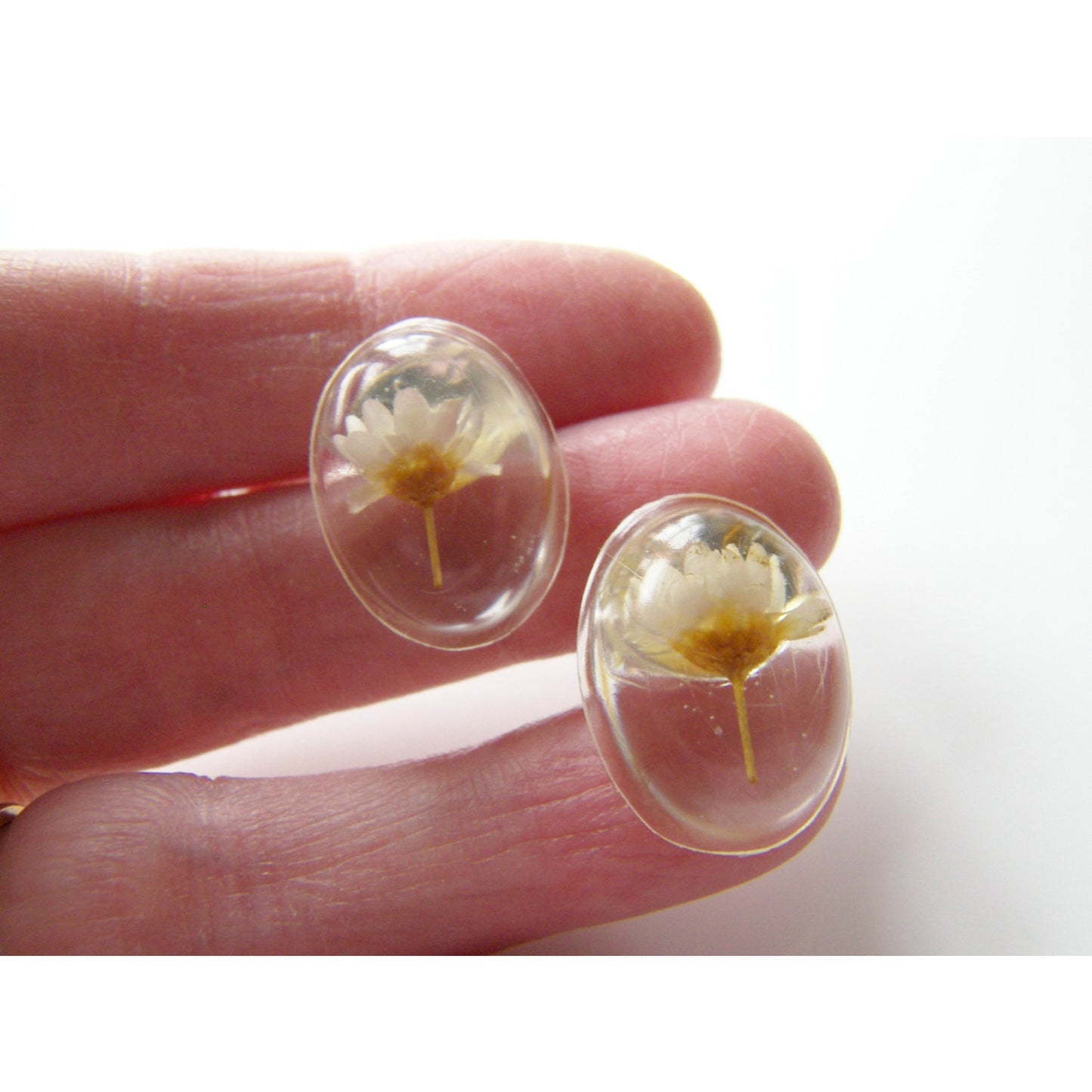Daisy Earrings, Resin Studs, Oval Resin Stud Earrings, Real Flower Earrings, Handmade by Wishes on the Wind