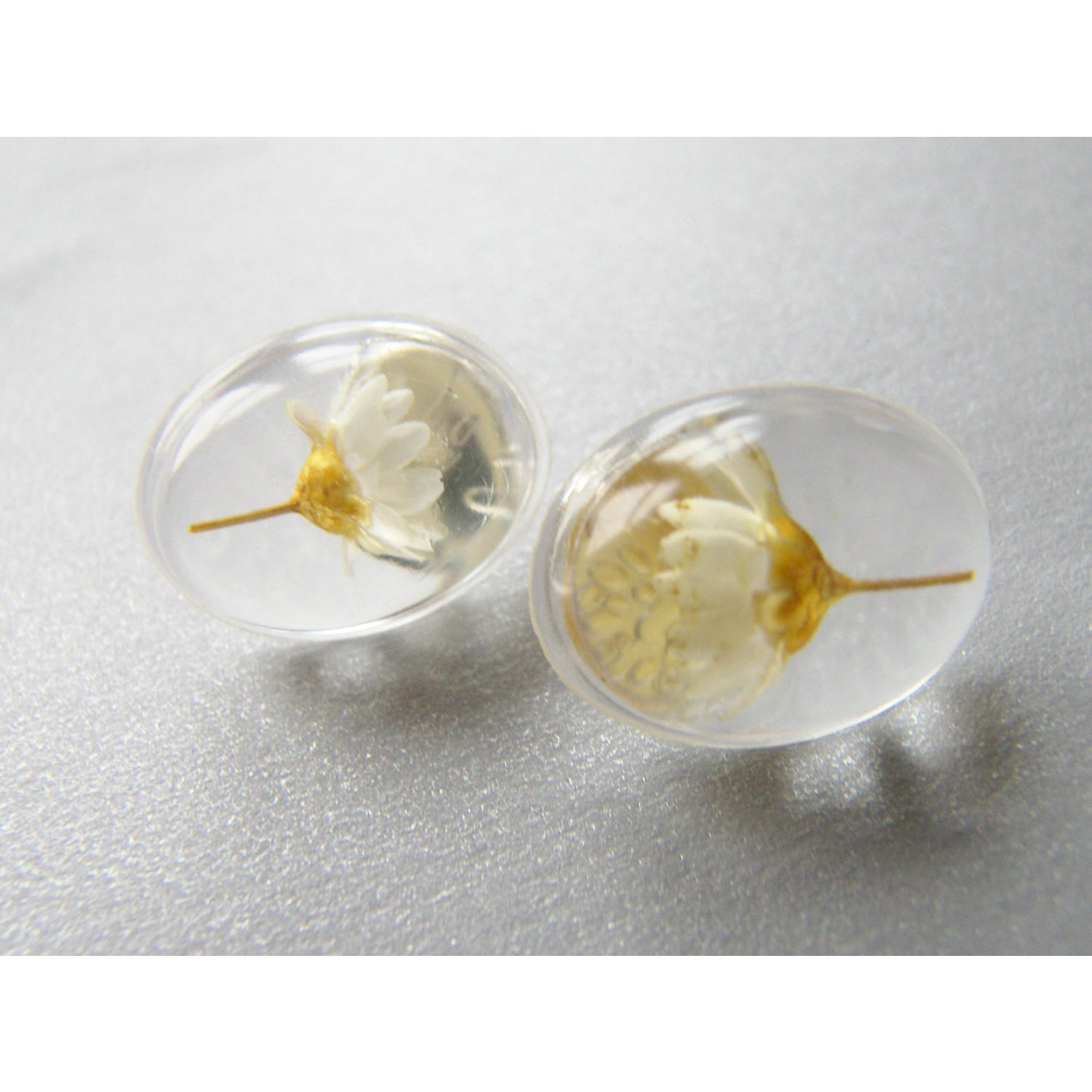 Daisy Earrings, Resin Studs, Oval Resin Stud Earrings, Real Flower Earrings, Handmade by Wishes on the Wind