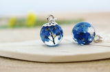 blue real flower earrings