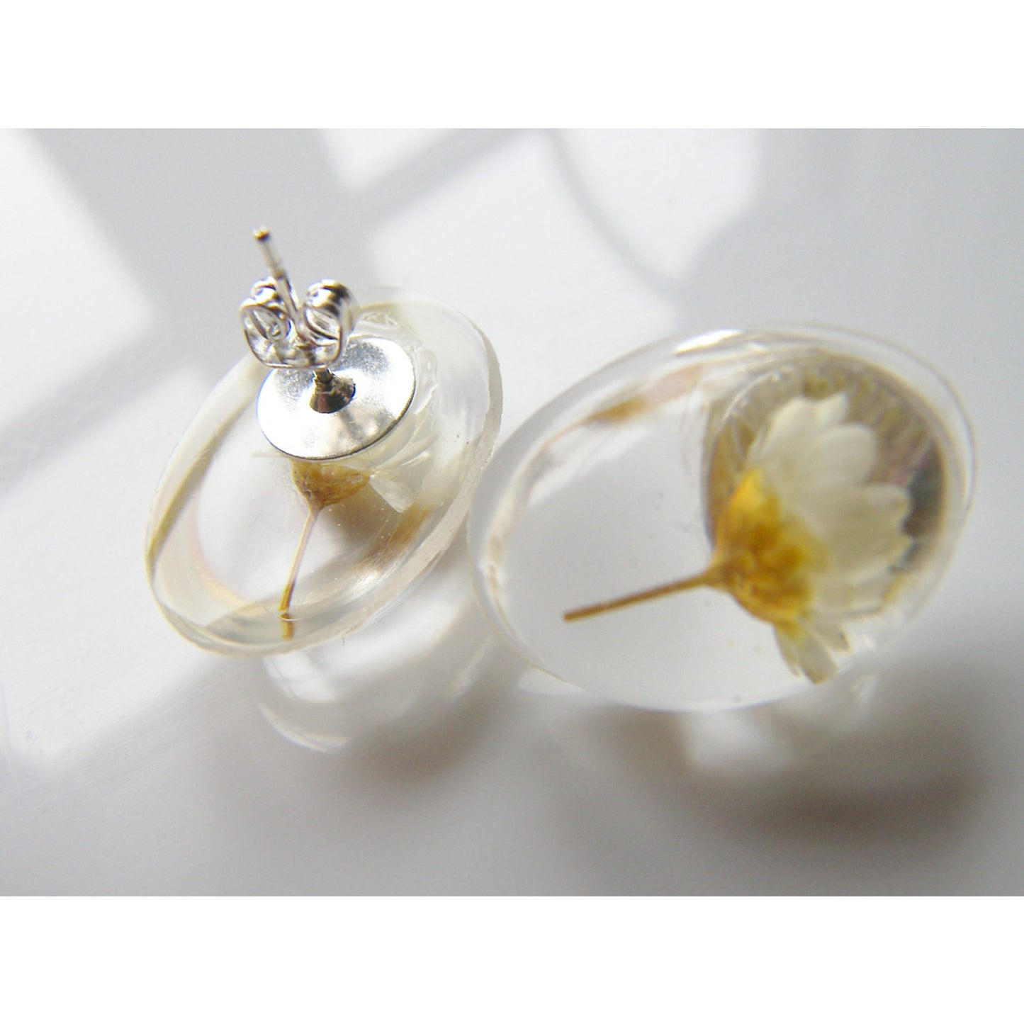 Daisy Earrings, Resin Studs, Oval Resin Stud Earrings, Real Flower Earrings, Handmade by Wishes on the Wind