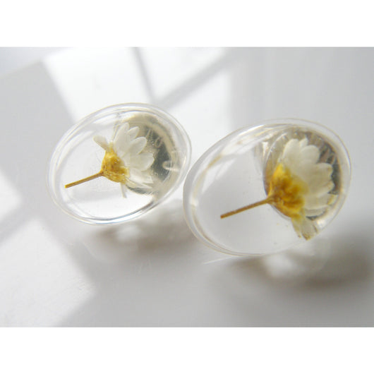 Daisy Earrings, Resin Studs, Oval Resin Stud Earrings, Real Flower Earrings, Handmade by Wishes on the Wind